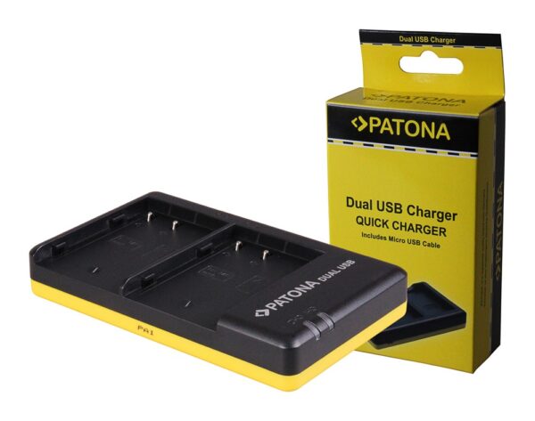 Dual Quick-Charger Panasonic DMW-BLF19 incl. Micro-USB cabel